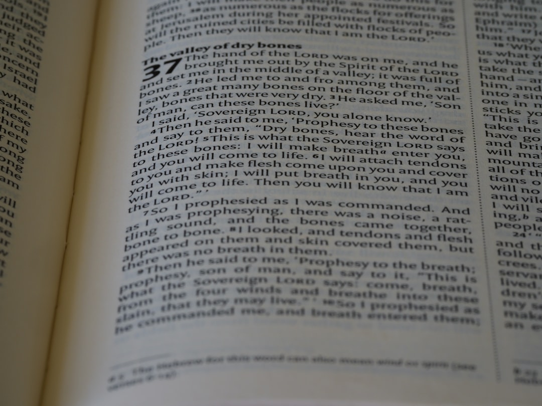 Správa pohľadávok: Ako ju optimalizovať efektívne?