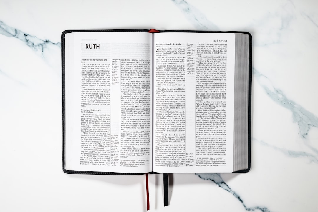 Správa pohľadávok: Ako optimalizovať procesy?